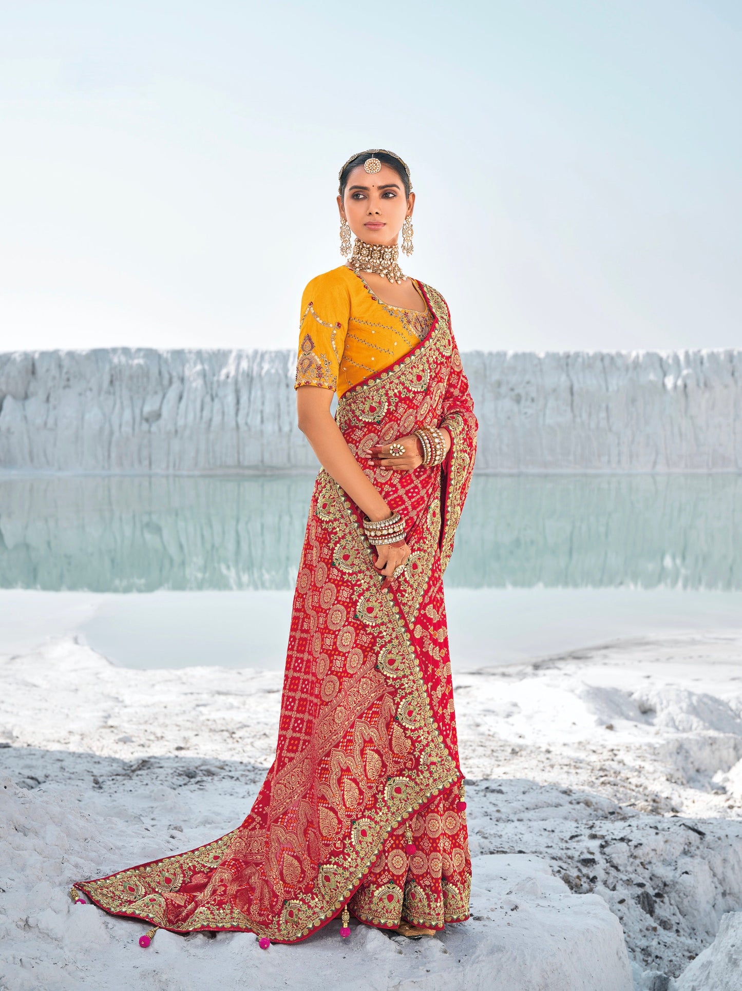 Red Pure Georgette Bandhani Patola Saree & Zari Weaving & Dual Blouses - Femenica