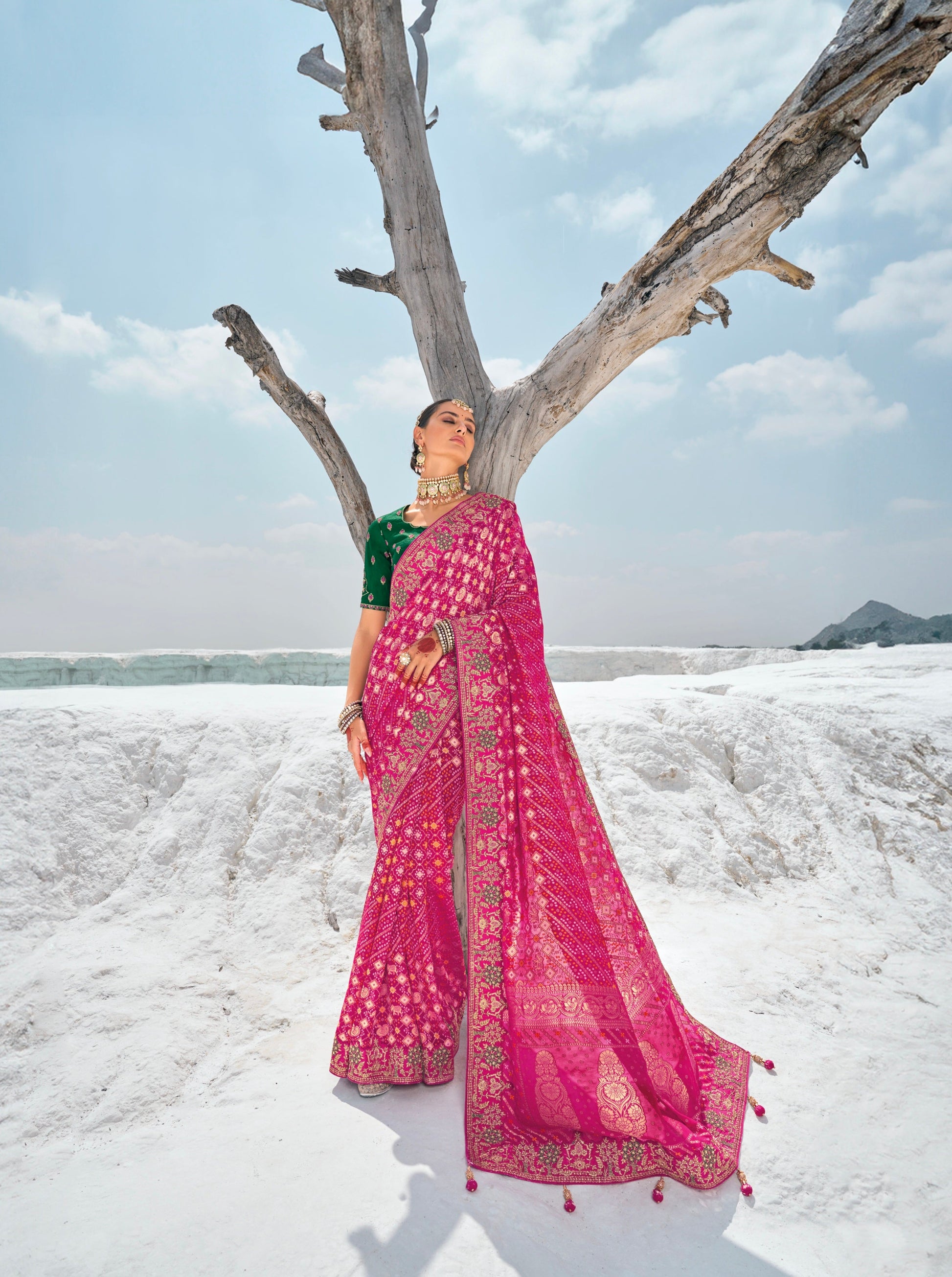 Purple Bandhani Patola Saree with Zari Borders & Dual Blouses - Femenica