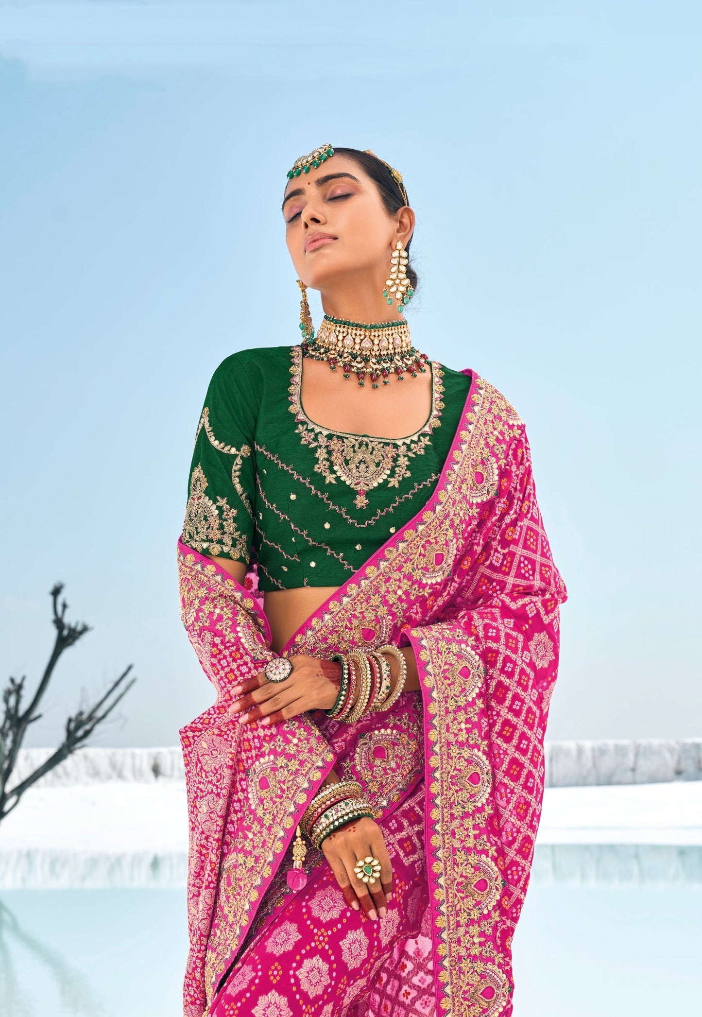 Pink Bandhani Saree with Zari Weaving & Designer Dual Blouses - Femenica