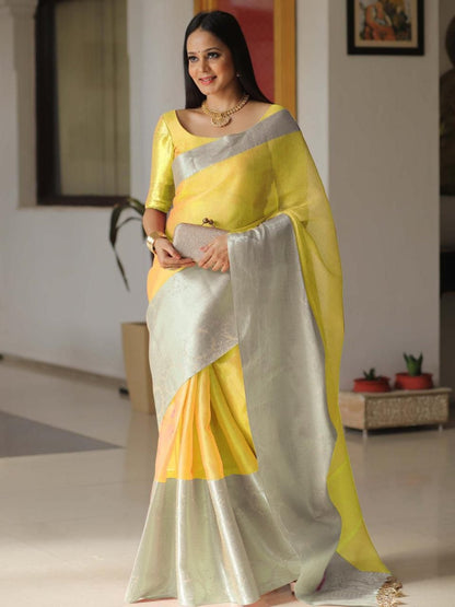 Grey Shining Tissue Silk Saree - Femenica