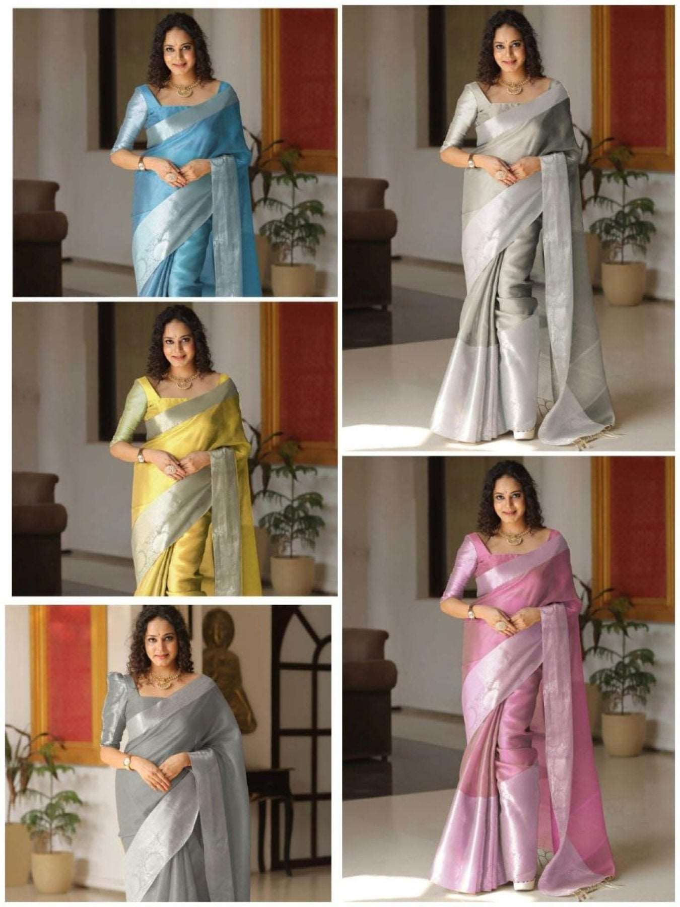 Grey Shining Tissue Silk Saree - Femenica