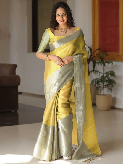 Grey Shining Tissue Silk Saree - Femenica